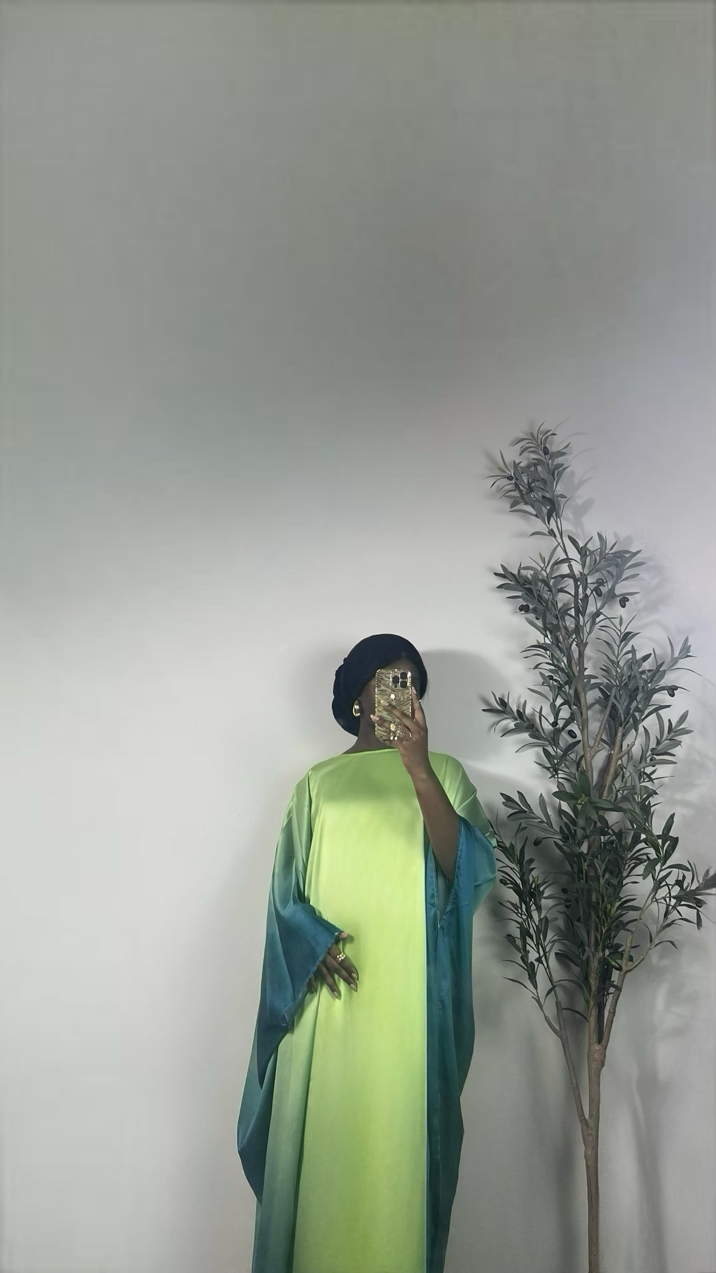 Maya Ombre Butterfly Abaya- Green Gradient